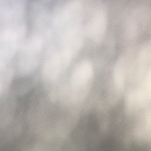 Meet your Posher, Elbi